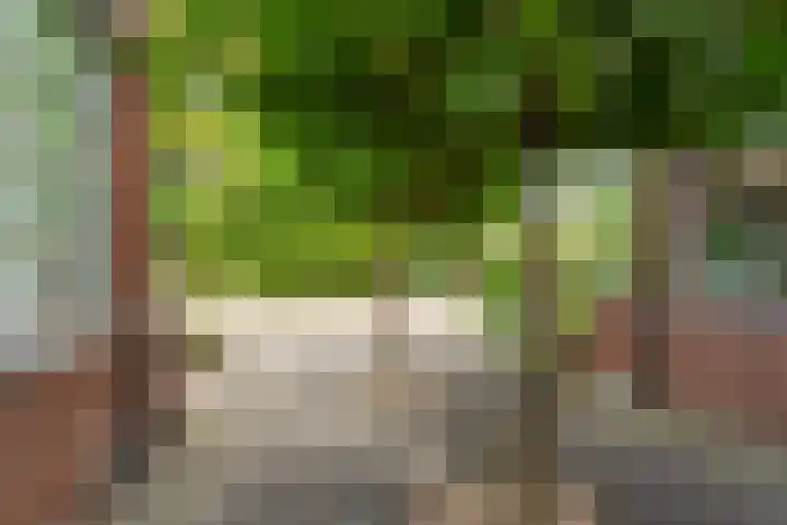 Molenvijver 18 Rotterdam thumbnail 29