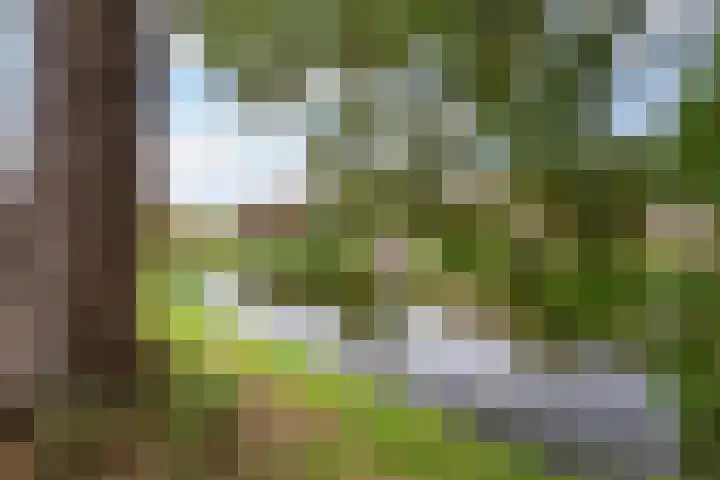 Molenvijver 18 Rotterdam thumbnail 31