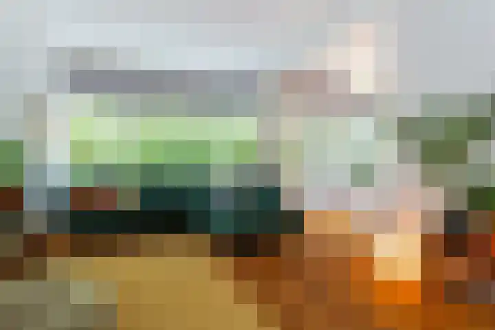 Molenvijver 18 Rotterdam thumbnail 4