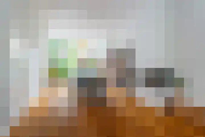 Molenvijver 18 Rotterdam thumbnail 6