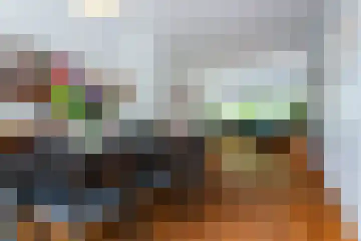Molenvijver 18 Rotterdam thumbnail 7