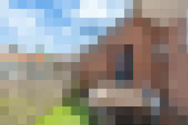 Molenvijver 35 A Rotterdam thumbnail 15