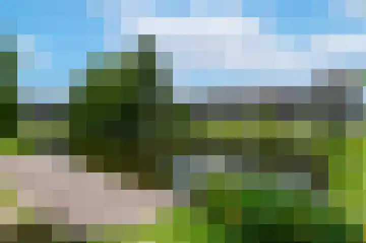 Molenvijver 35 A Rotterdam thumbnail 16