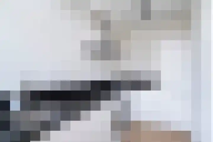 Molenvijver 35 A Rotterdam thumbnail 5