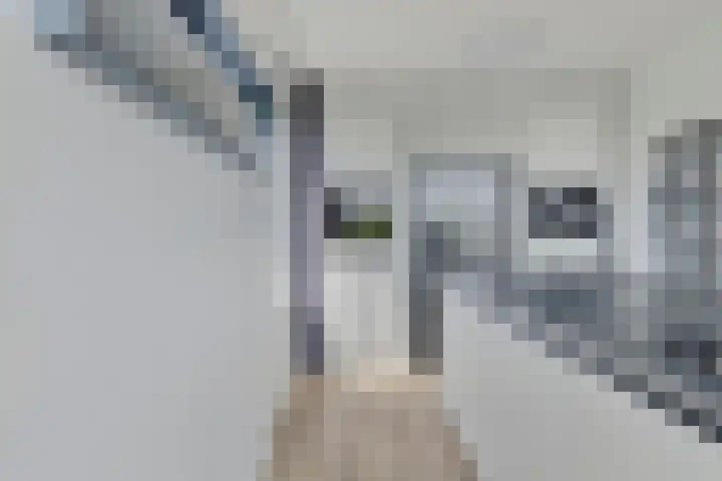 Molenvliet 117 Rotterdam thumbnail 7