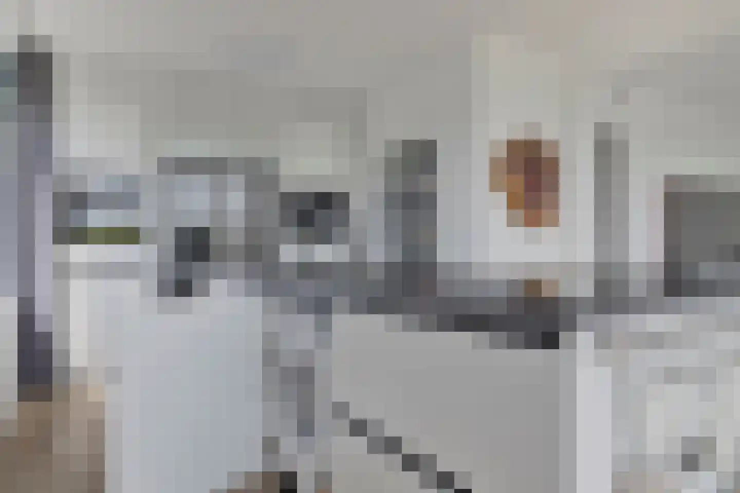 Molenvliet 117 Rotterdam thumbnail 8