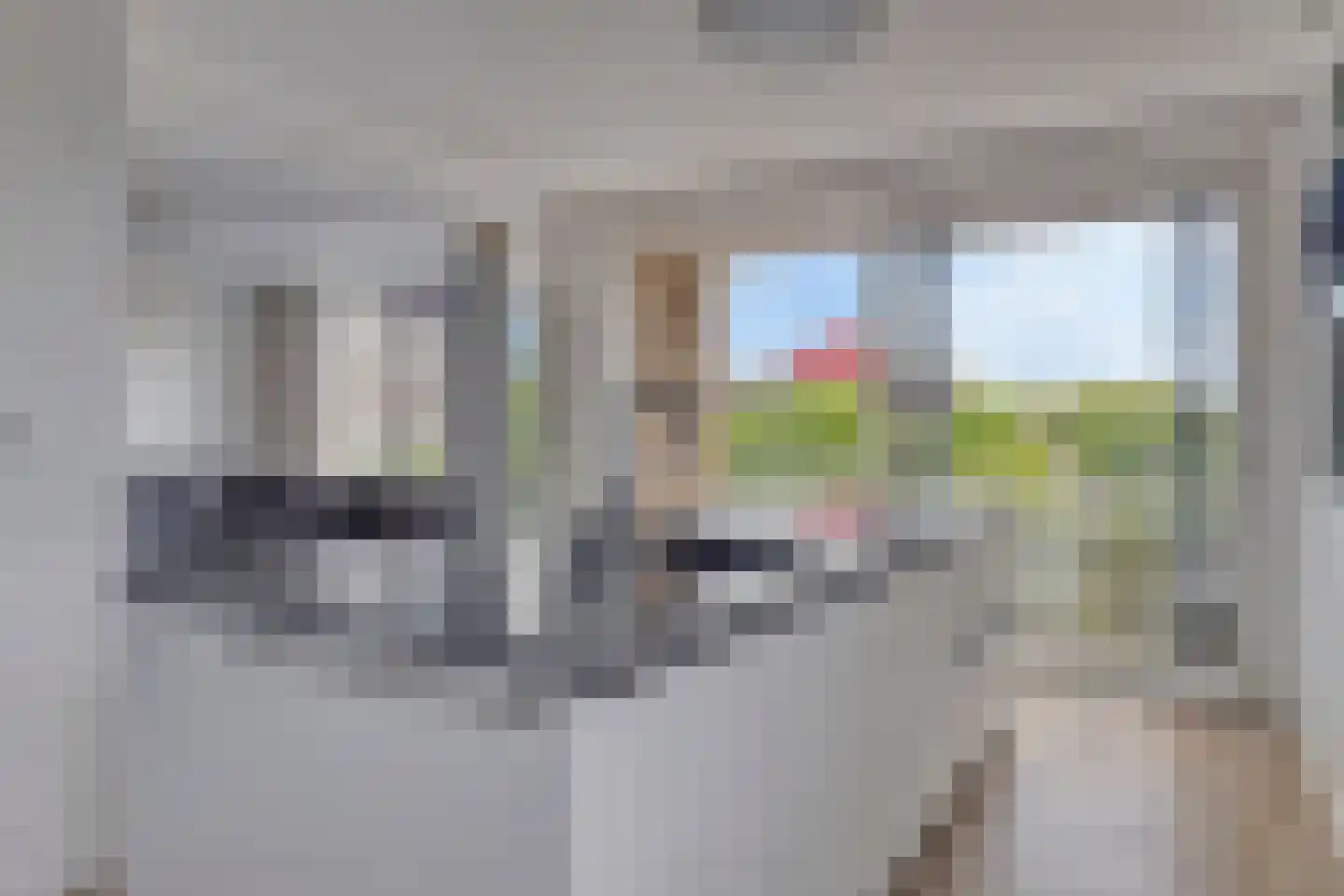 Molenvliet 117 Rotterdam thumbnail 9