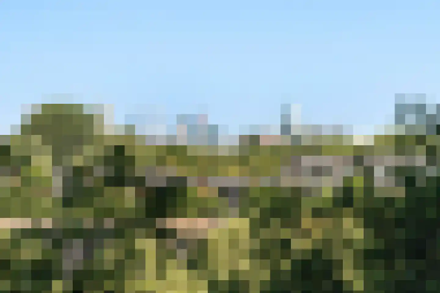 Molenvliet 130 Rotterdam thumbnail 17
