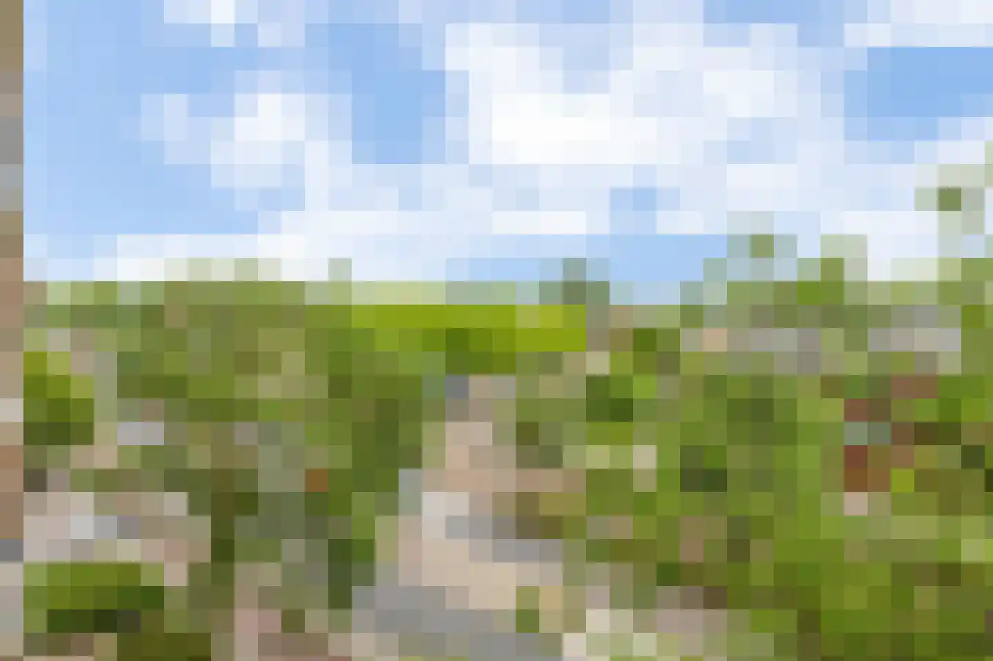 Molenvliet 148 Rotterdam thumbnail 28