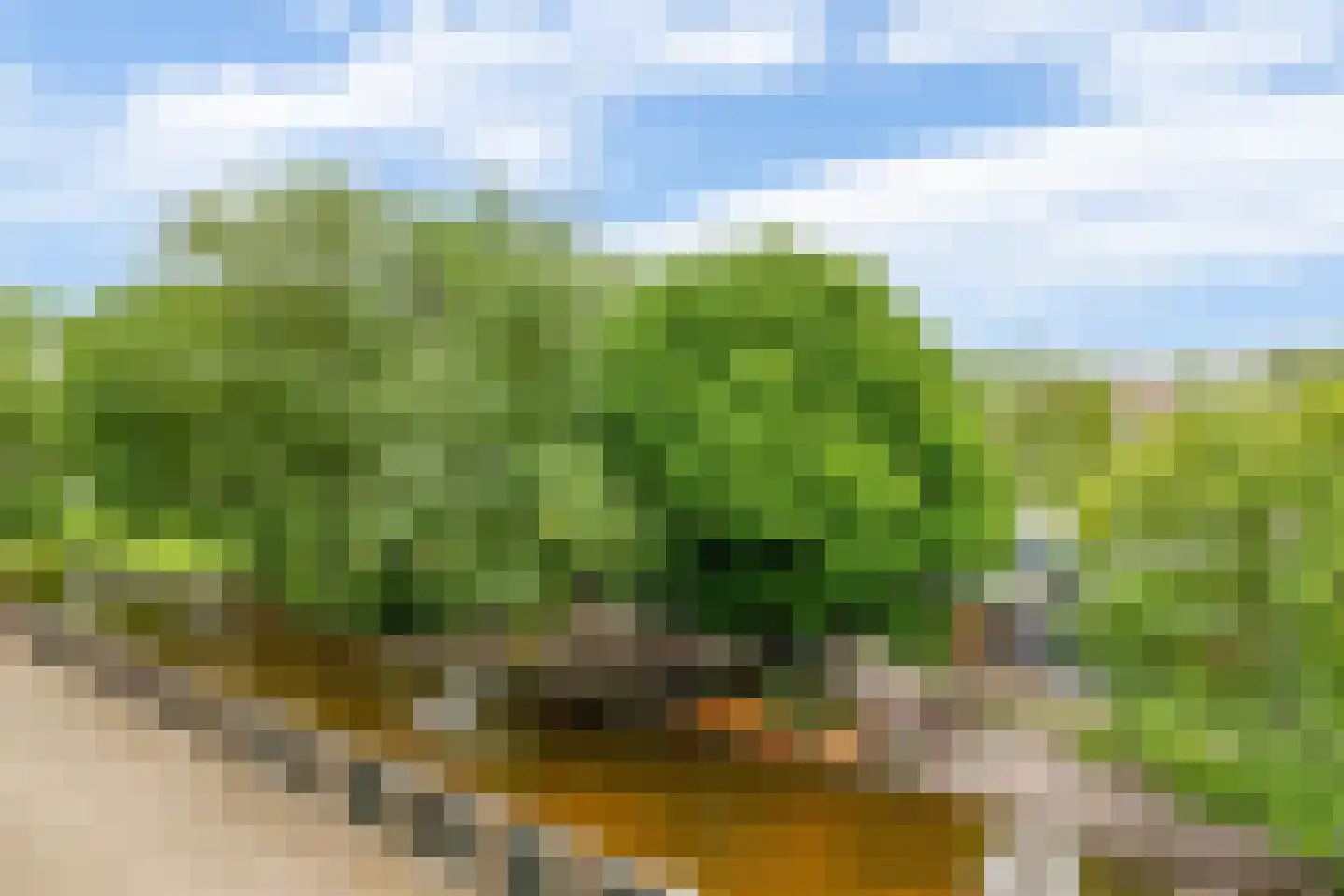 Molenvliet 148 Rotterdam thumbnail 30