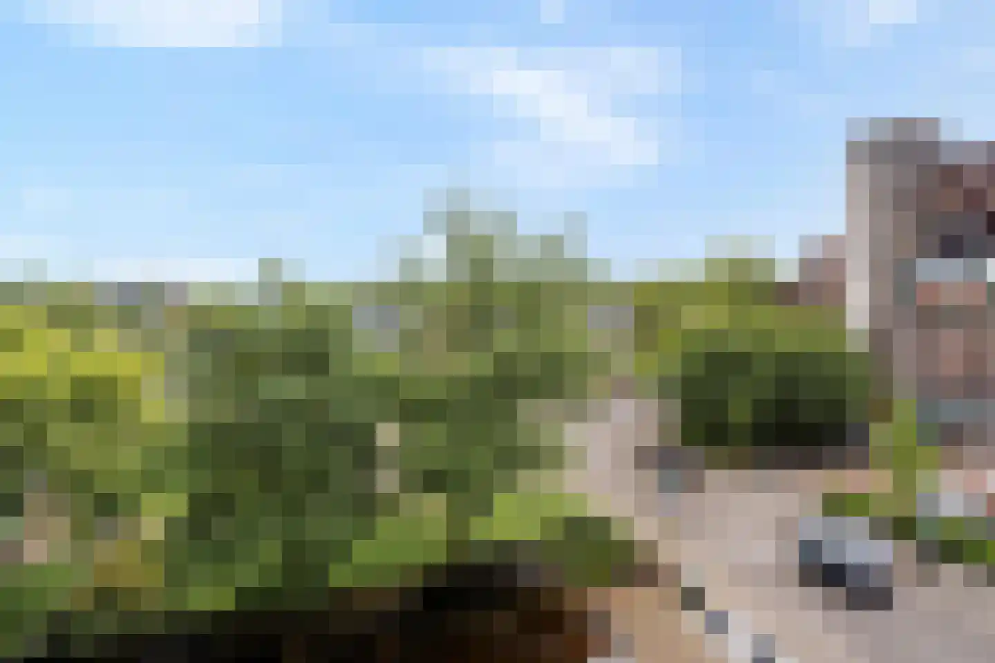 Molenvliet 188 Rotterdam thumbnail 12