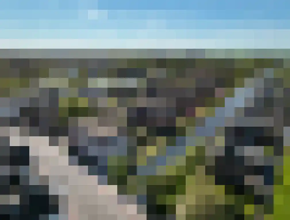 Molenvliet 25 Bodegraven thumbnail 7