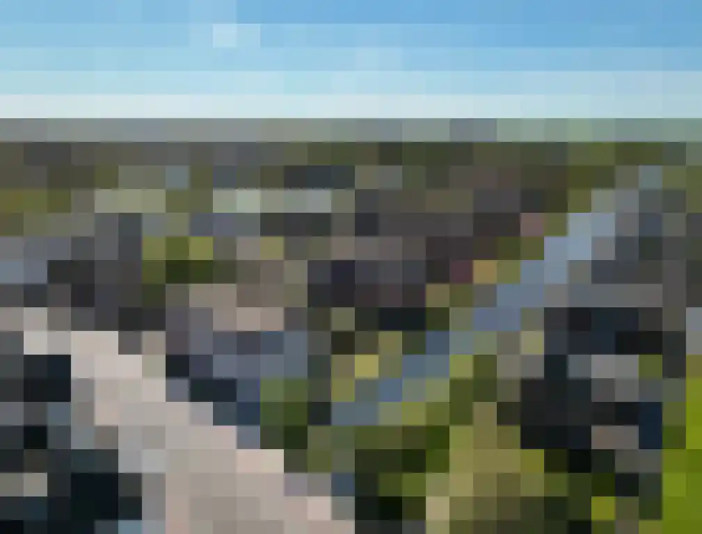 Molenvliet 25 Bodegraven thumbnail 8