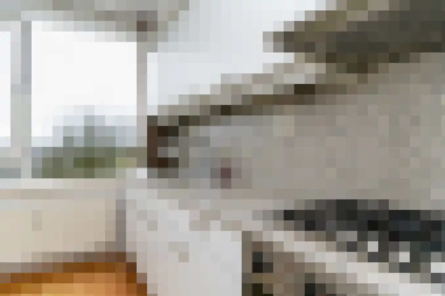 Molenvliet 72 Rotterdam thumbnail 12