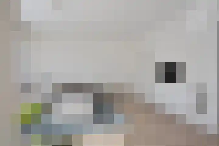 Molenvliet 79 Rotterdam thumbnail 7