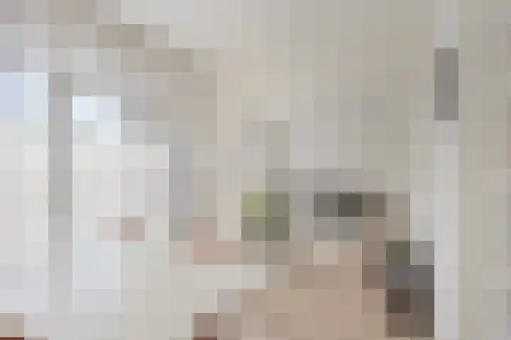 Molenvliet 79 Rotterdam thumbnail 9