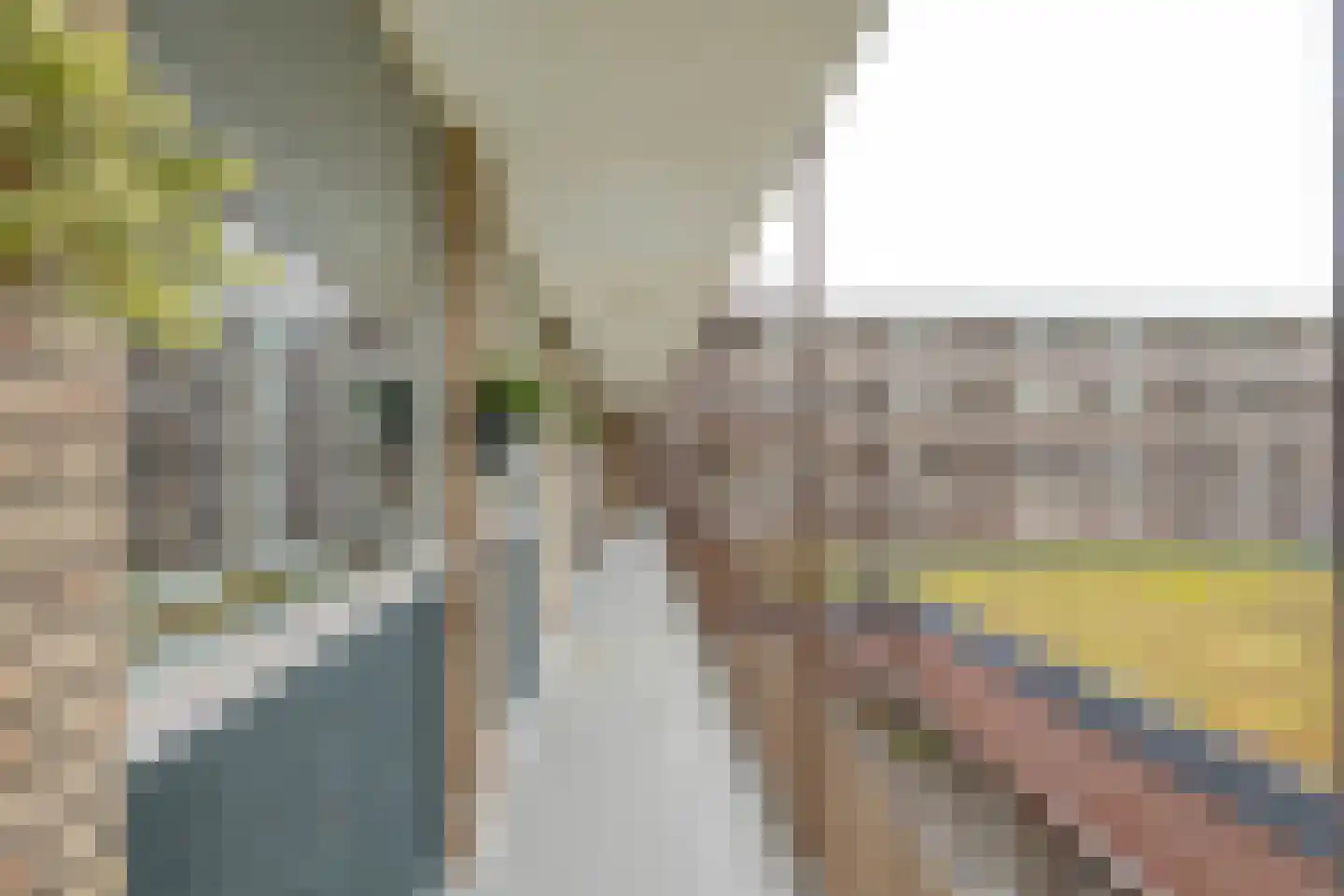 Molenvliet 91 Rotterdam thumbnail 23