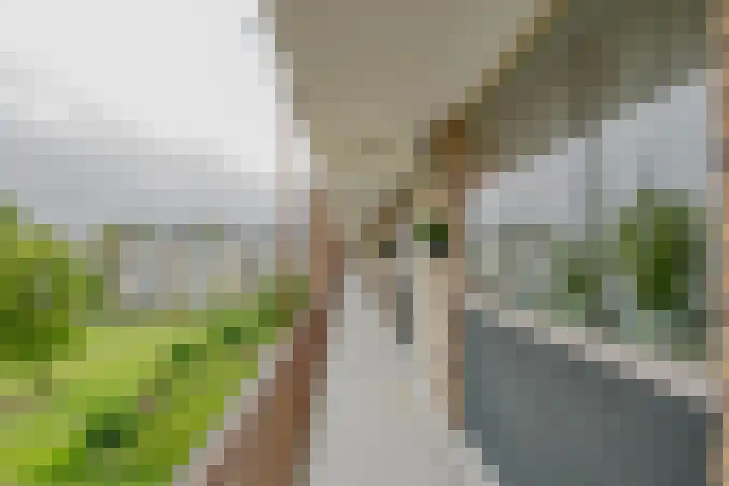 Molenvliet 91 Rotterdam thumbnail 8