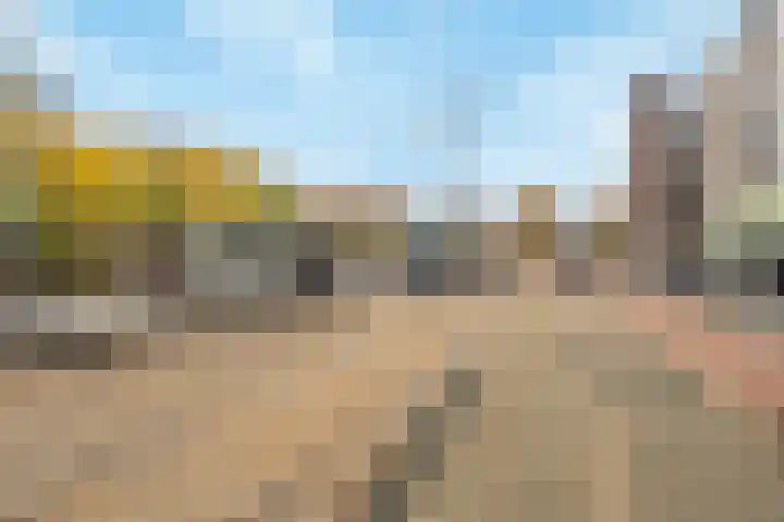 Molenvliet 95 Rotterdam thumbnail 28