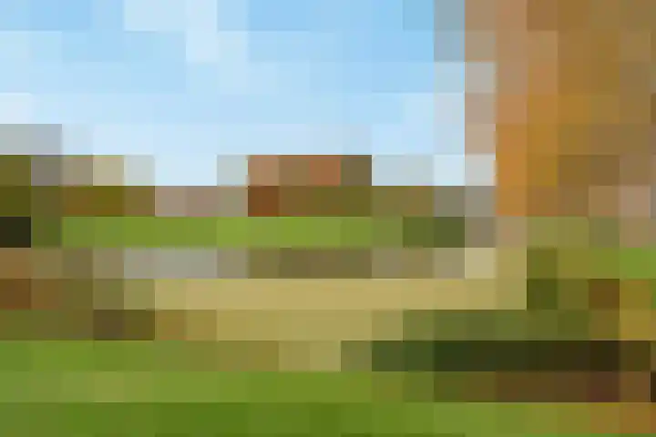 Molenvliet 95 Rotterdam thumbnail 31