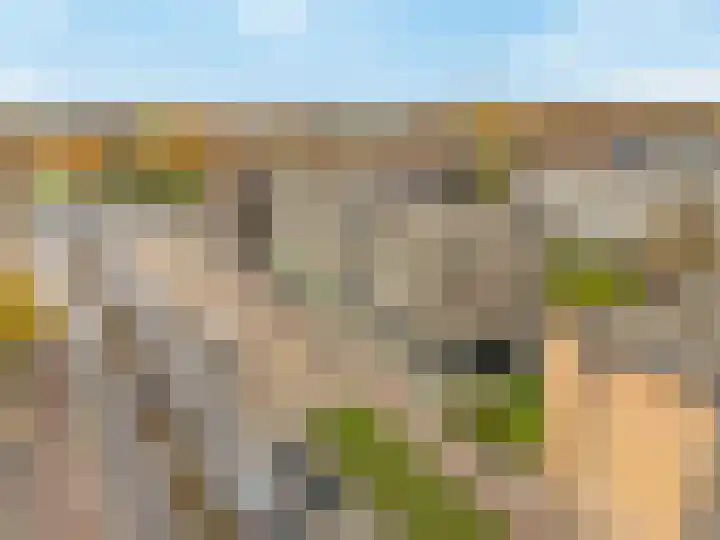 Molenvliet 95 Rotterdam thumbnail 5