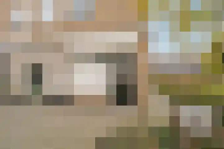 Molenvliet 95 Rotterdam thumbnail 6