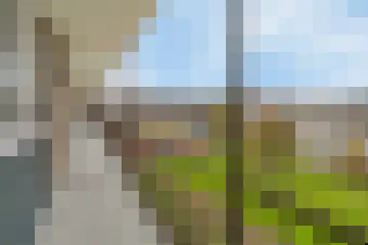 Molenvliet 95 Rotterdam thumbnail 8