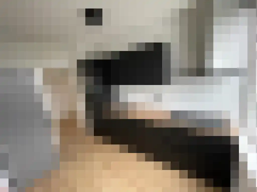 Molenvliet Rotterdam thumbnail 6