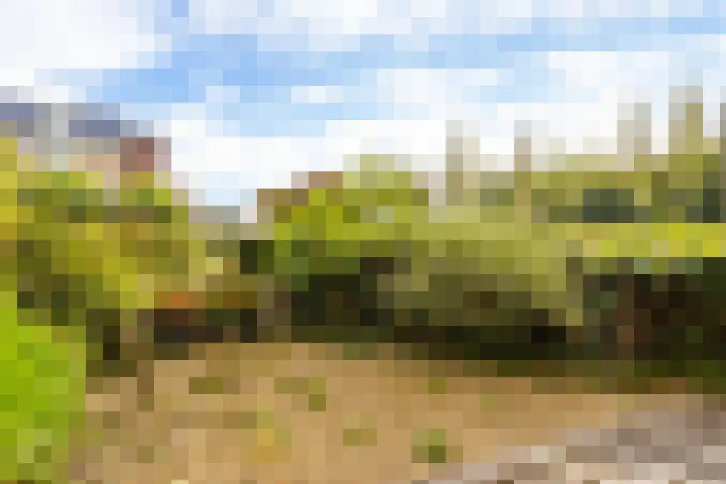 Molenvlietbrink 113 Woerden thumbnail 11