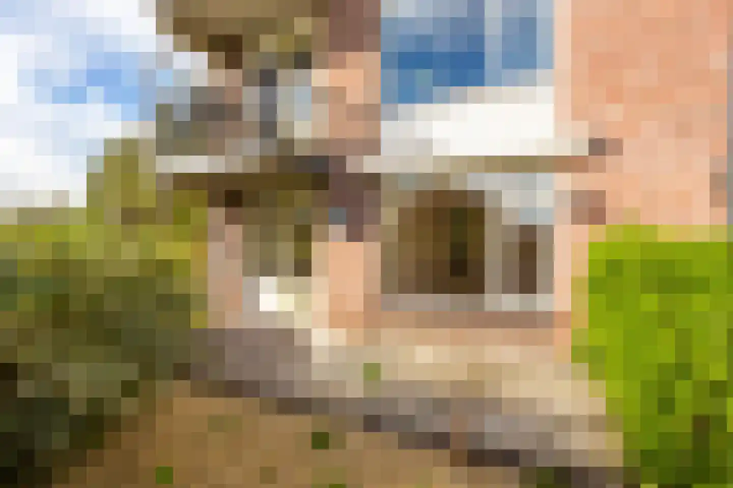 Molenvlietbrink 113 Woerden thumbnail 12