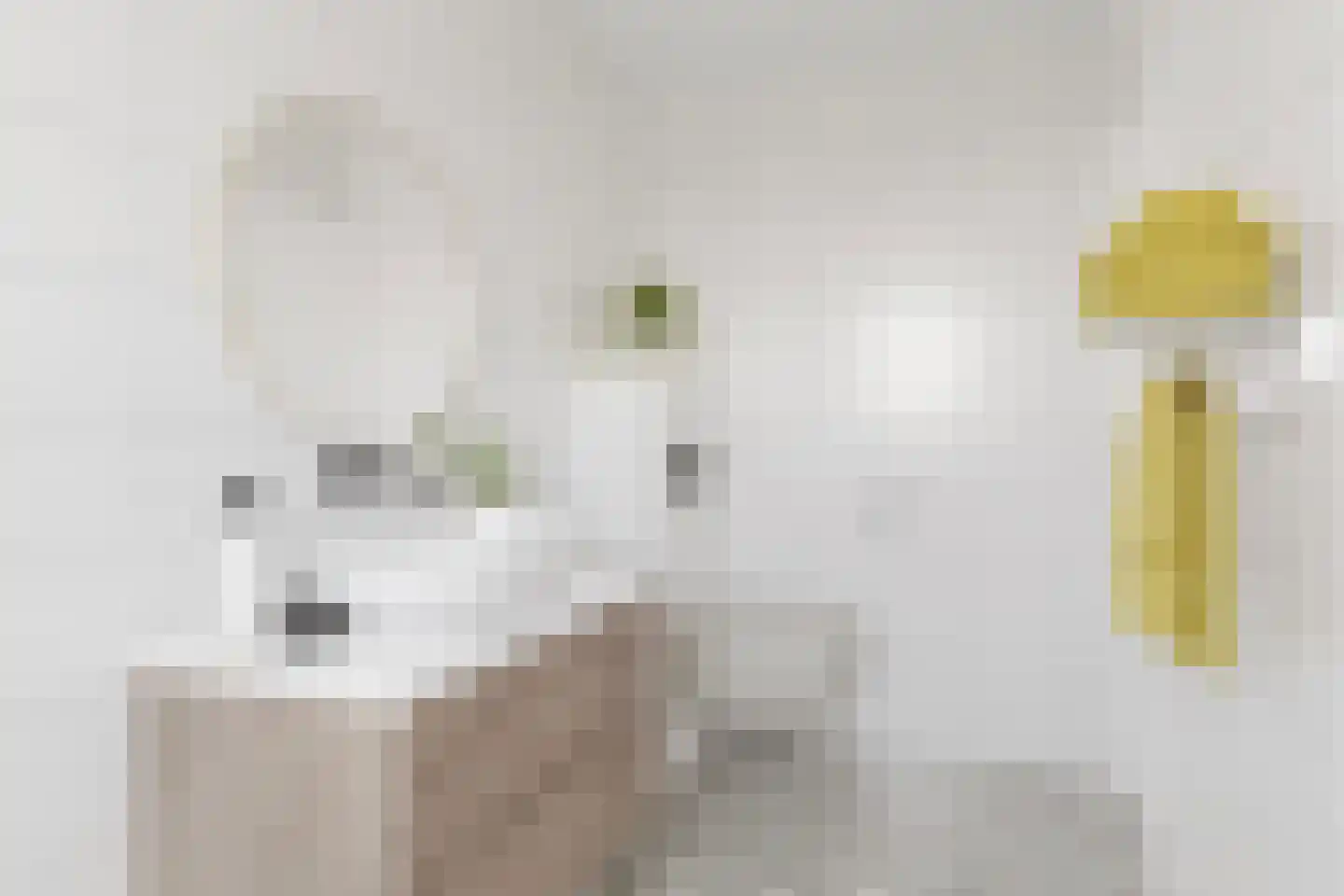 Molenvlietbrink 113 Woerden thumbnail 16