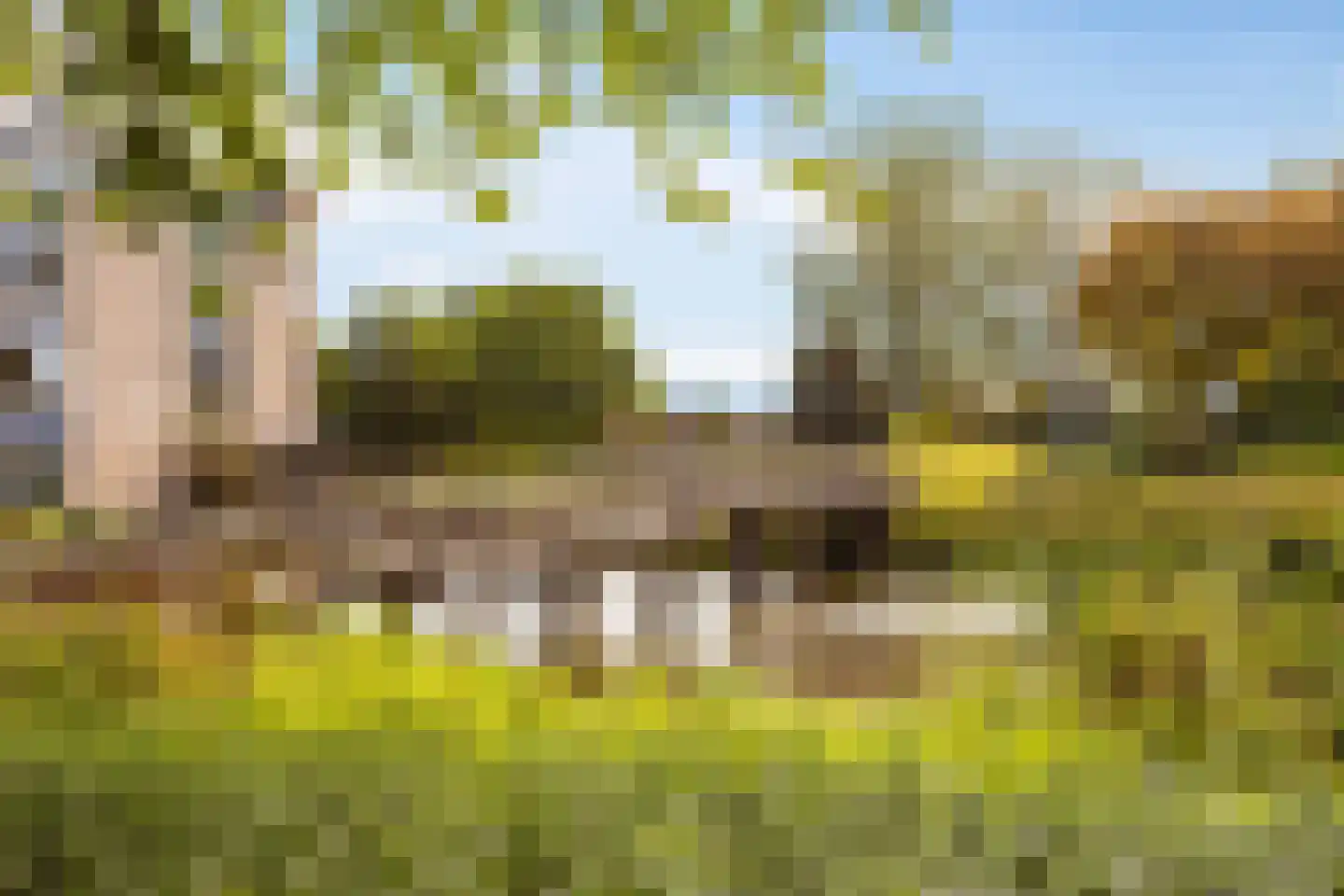 Molenvlietbrink 113 Woerden thumbnail 24