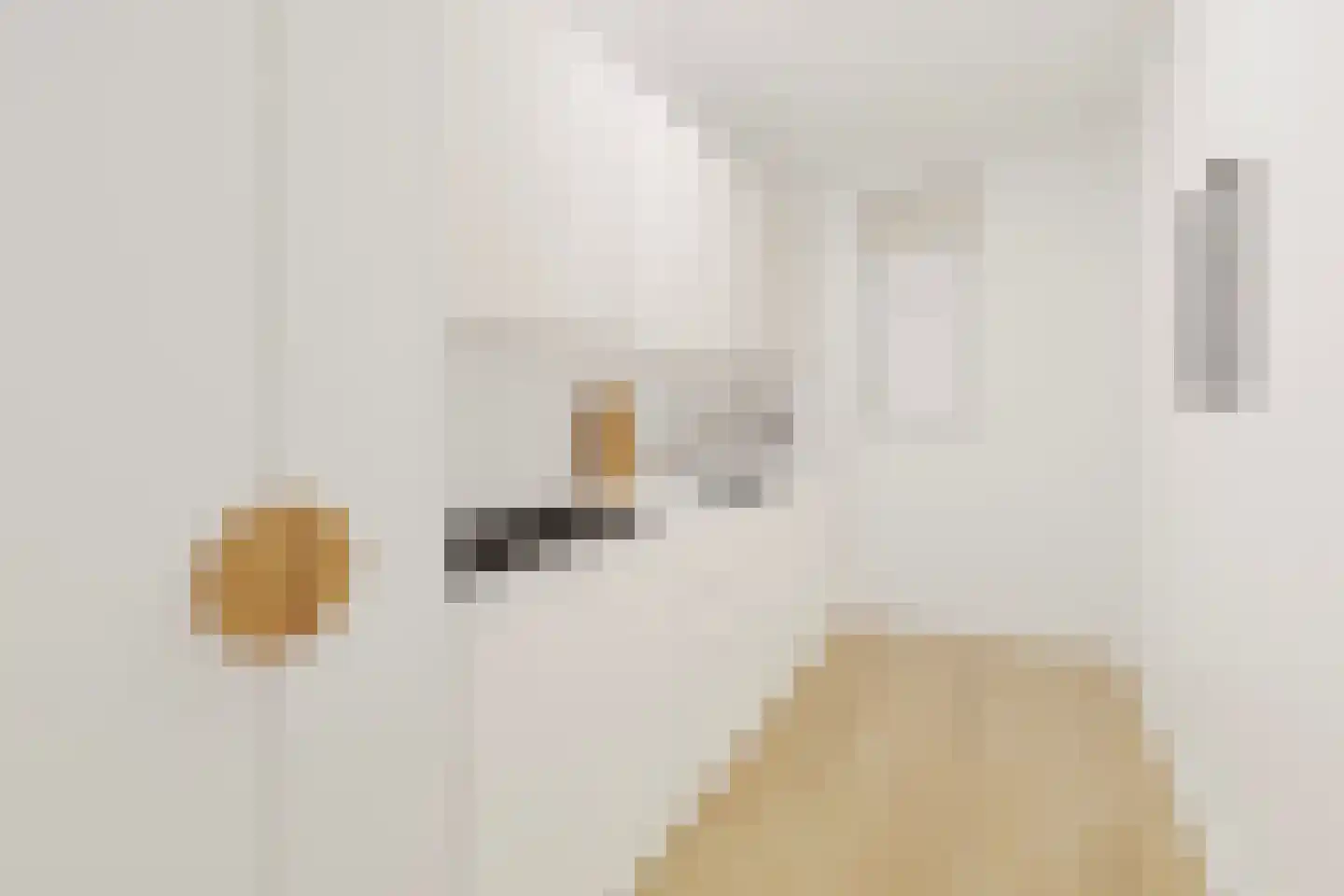 Molenvlietbrink 113 Woerden thumbnail 7