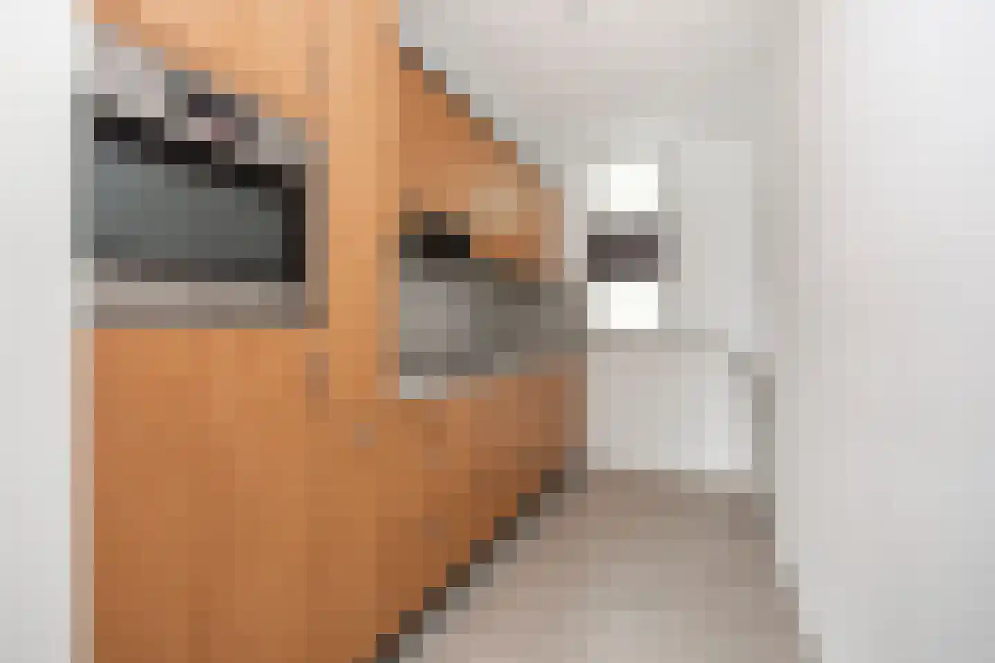 Molenvlietbrink 125 Woerden thumbnail 6