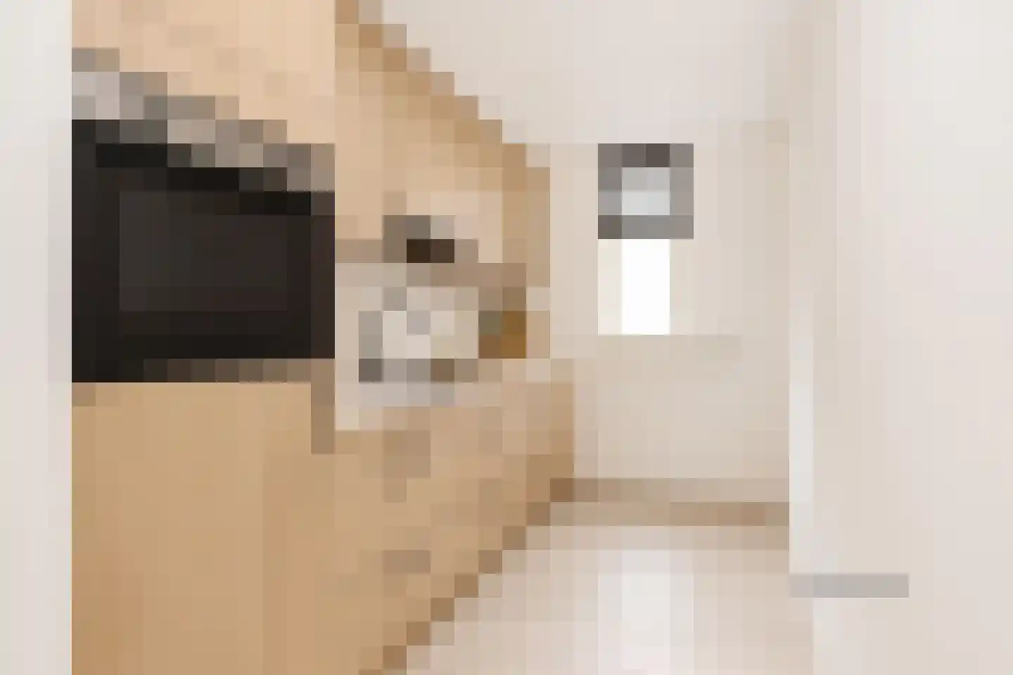 Molenvlietbrink 125 Woerden thumbnail 7