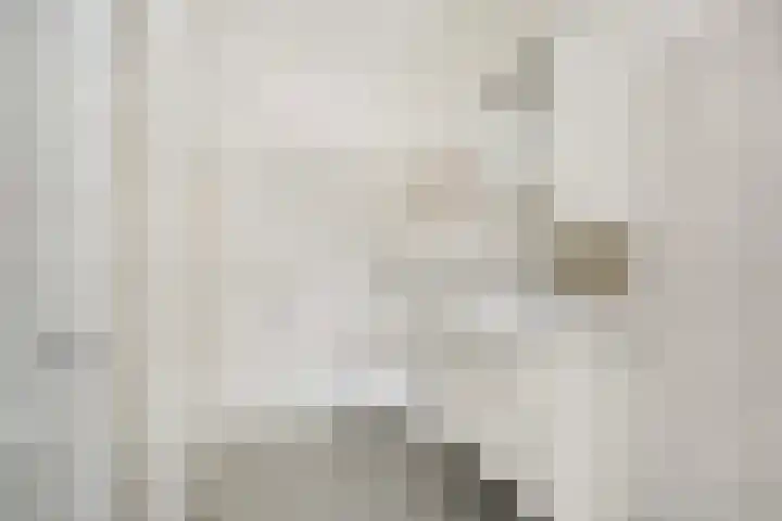 Molenvlietbrink 137 Woerden thumbnail 13