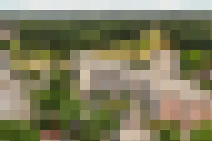 Molenvlietbrink 137 Woerden thumbnail 24