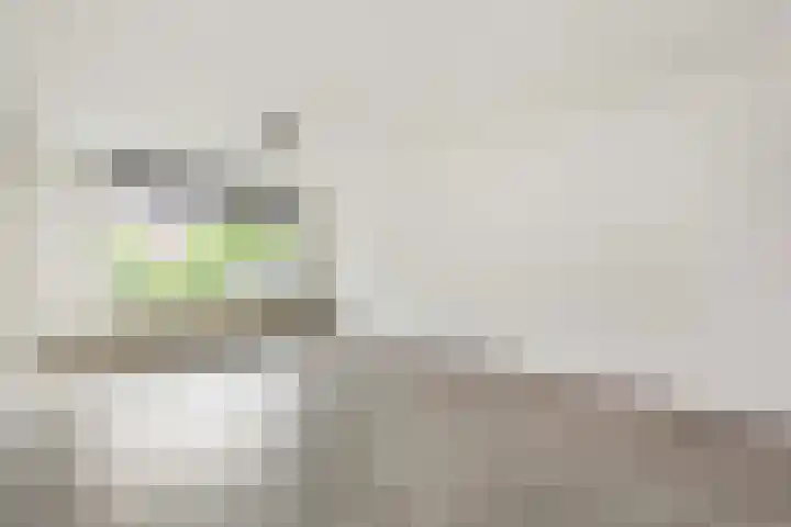 Molenvlietbrink 137 Woerden thumbnail 4