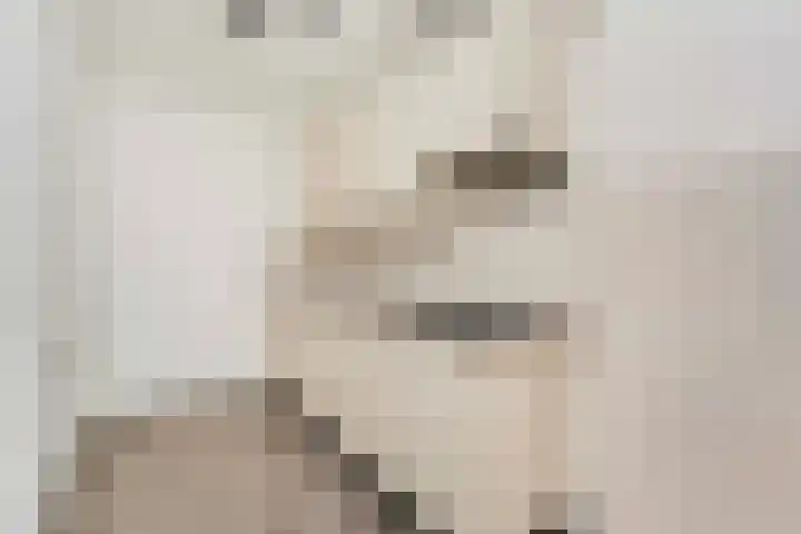 Molenvlietbrink 137 Woerden thumbnail 6