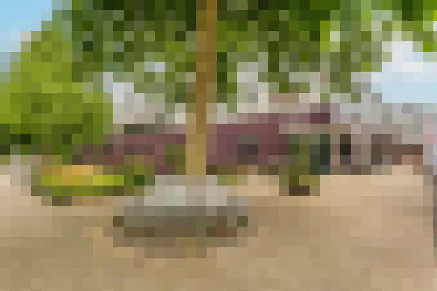 Molenvlietbrink 141 Woerden thumbnail 31