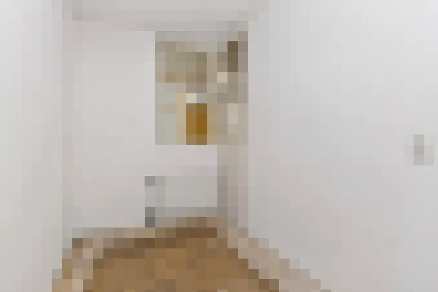 Molenvlietbrink 143 Woerden thumbnail 14