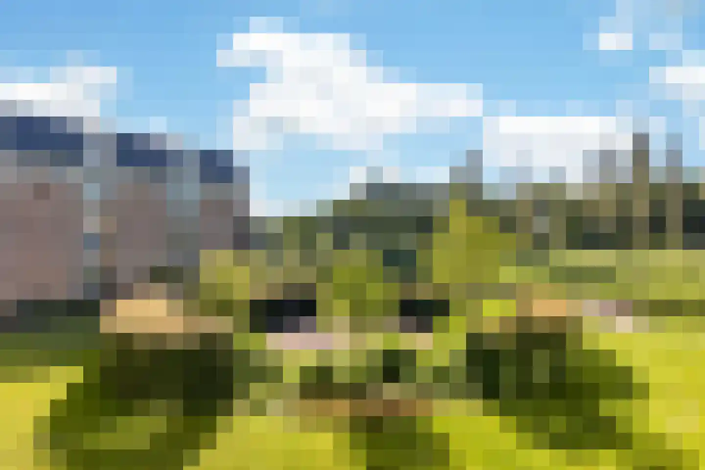 Molenvlietbrink 149 Woerden thumbnail 11
