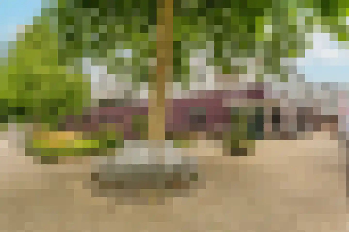 Molenvlietbrink 173 Woerden thumbnail 28