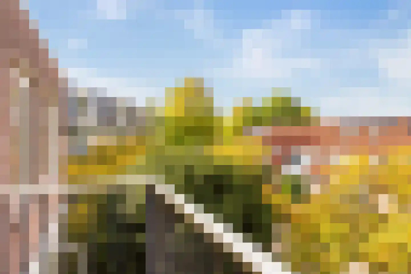 Molenvlietbrink 175 Woerden thumbnail 10