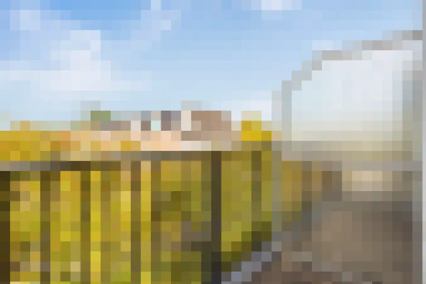 Molenvlietbrink 175 Woerden thumbnail 11