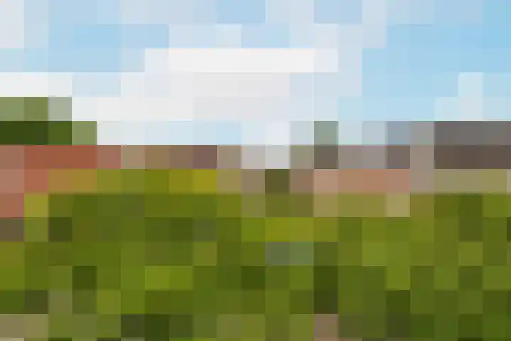 Molenvlietbrink 179 Woerden thumbnail 11
