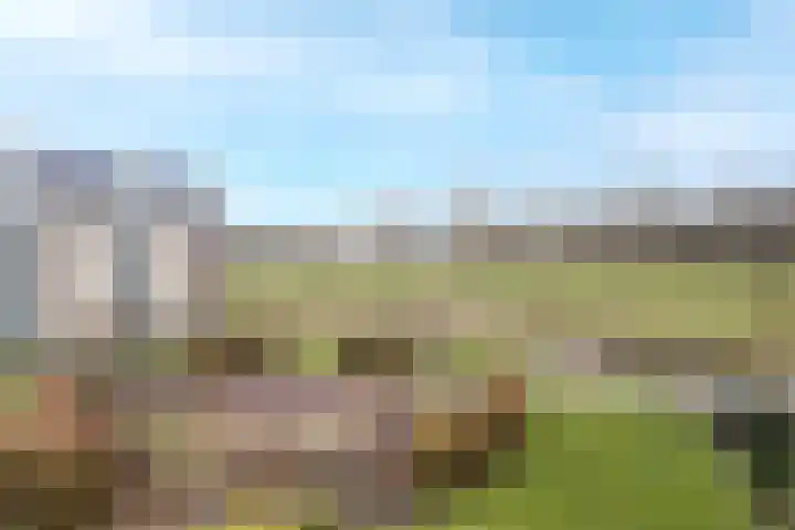 Molenvlietbrink 195 Woerden thumbnail 10