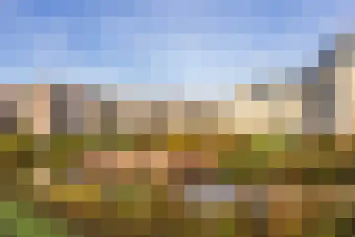 Molenvlietbrink 195 Woerden thumbnail 24