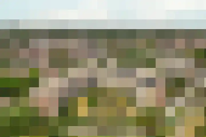 Molenvlietbrink 195 Woerden thumbnail 26