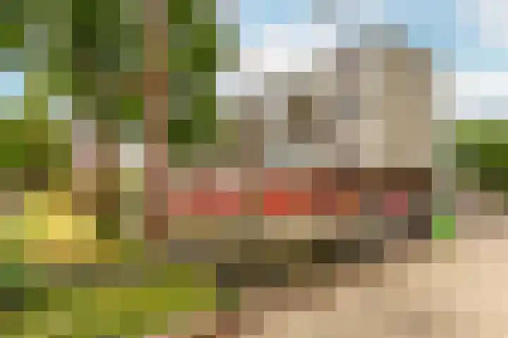 Molenvlietbrink 195 Woerden thumbnail 28